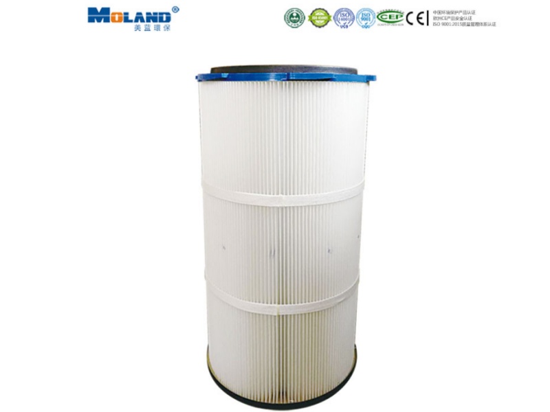 進(jìn)口覆膜聚酯纖維濾芯